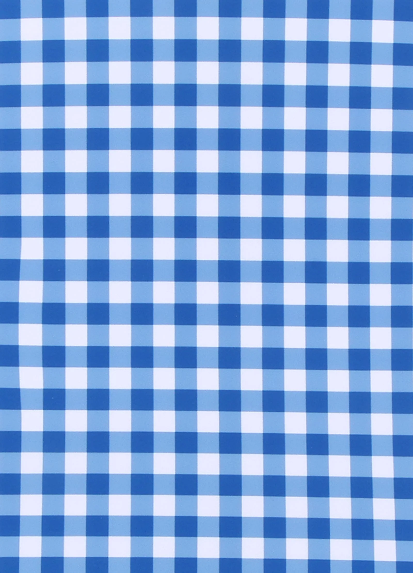 Gingham Surf Set - Blue Lottie - Image 4